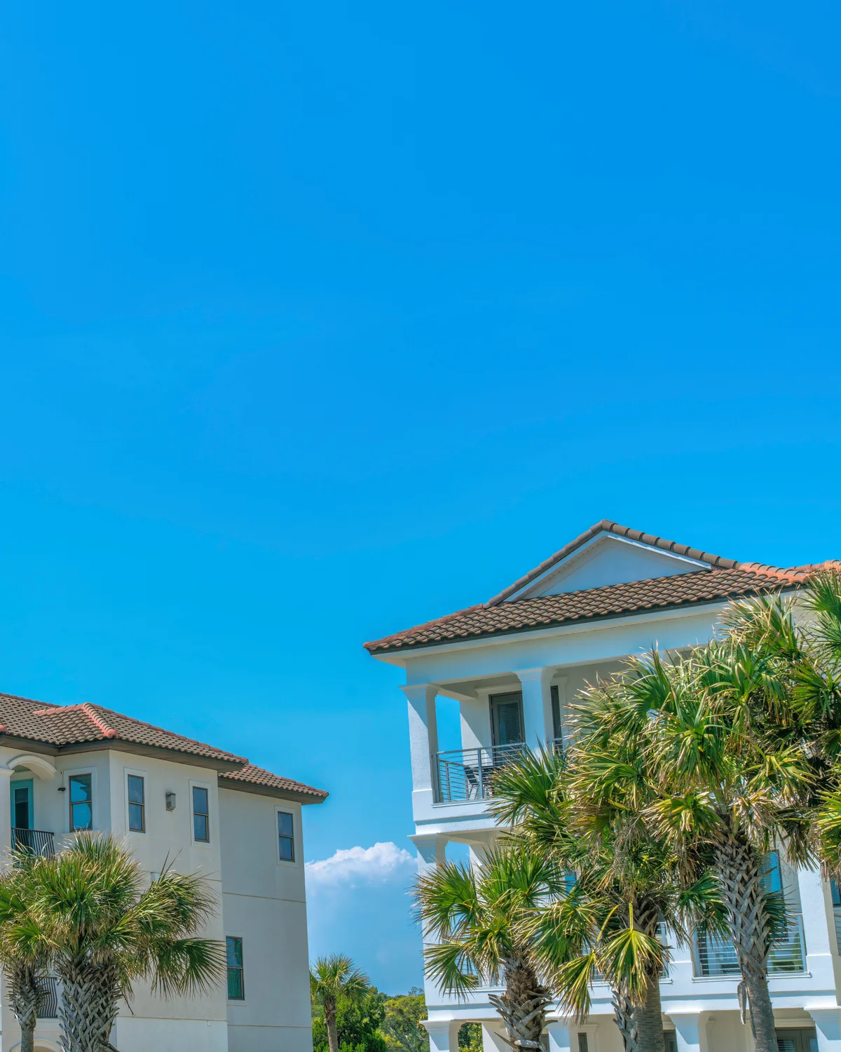 Florida Flood Insurance — NFIP and Private Options — abstract visualization