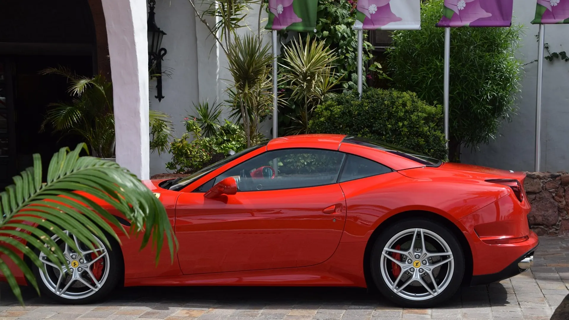 Florida driveway, exotic car, palm trees
